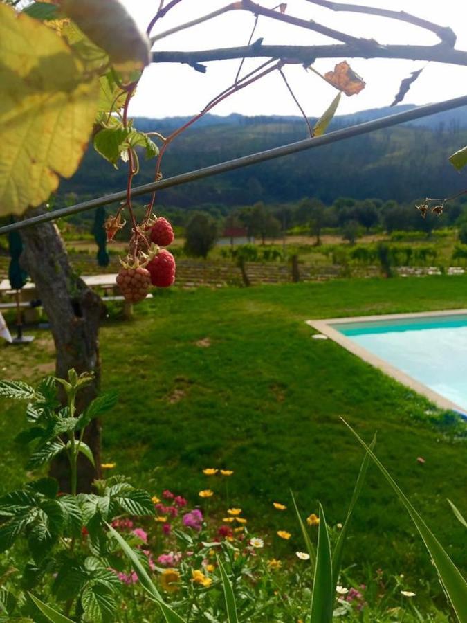 阿尔库什迪瓦尔德维什Quinta Da Aranha别墅 外观 照片